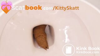 Massive toilet clog log