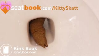 Massive toilet clog log