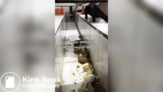 Beautiful girl poops in the toilet 11