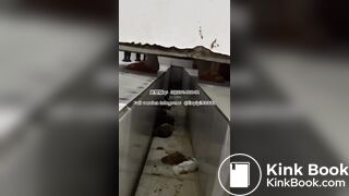 Beautiful girl poops in the toilet 11