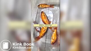 Girl poops on goldfish