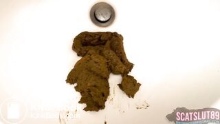 What Would You Do if You Found My Shit?