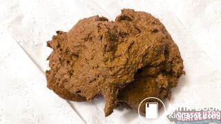 Trans BBW Sloppy Shit Pile