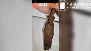 Four secret close up toilet logs