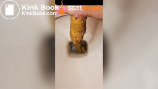 Four secret close up toilet logs