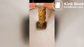 Four secret close up toilet logs