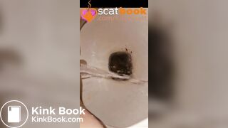 Four secret close up toilet logs