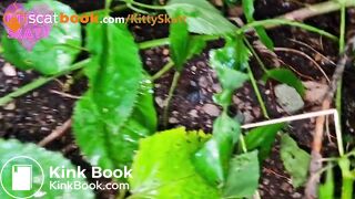 Fertilizing the Apple Tree