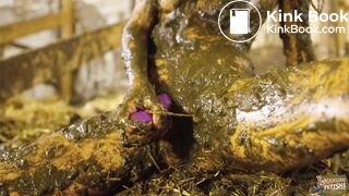 Maria Anjel Returns To The Cowshed