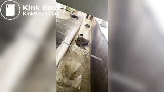 Beautiful girl poops in the toilet 38