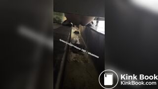 Beautiful girl poops in the toilet 38