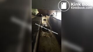 Beautiful girl poops in the toilet 38