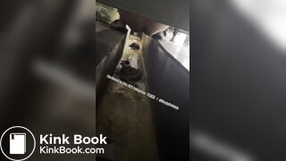 Beautiful girl poops in the toilet 38