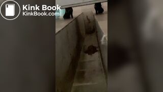 Beautiful girl poops in the toilet 50