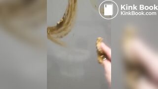 MESSING UP A PUBLIC TOILET