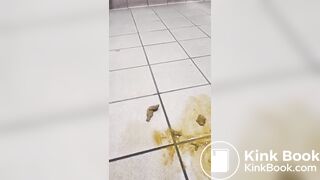 MESSING UP A PUBLIC TOILET