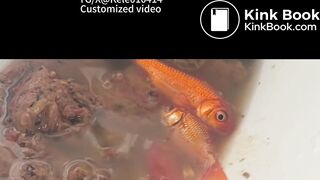 Pooping in front of a goldfish in a cup
