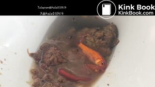 Pooping in front of a goldfish in a cup