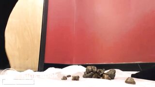 Another early video by the queen of scat