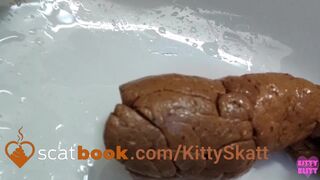 Stinky turd into toilet