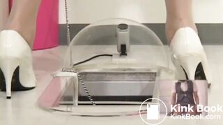 Japanese human toilet slave