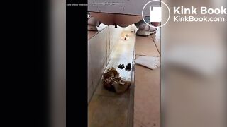 girl poops in toilet shaft