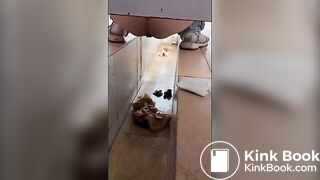 girl poops in toilet shaft