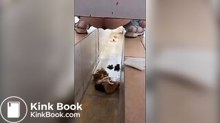 girl poops in toilet shaft