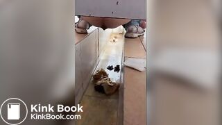 girl poops in toilet shaft