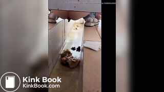 girl poops in toilet shaft