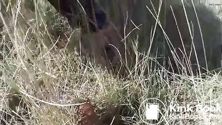 OUTDOOR POO - video 2