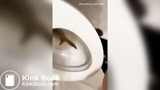 Ex Girlfriend laughing at her footlong turd