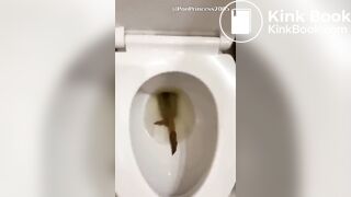 Ex Girlfriend laughing at her footlong turd