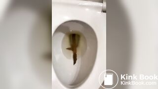 Ex Girlfriend laughing at her footlong turd