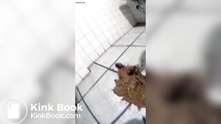 Skinny Japanese shits on the floor of public restrooms