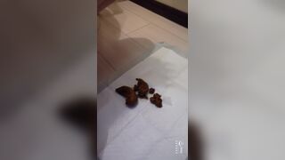 Asian beauty shitting #3