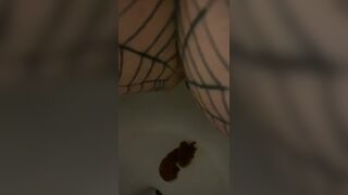 Shitt - video 8
