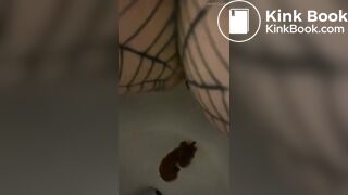 Shitt - video 8