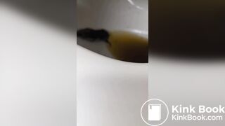 Insects swimming in the toilet