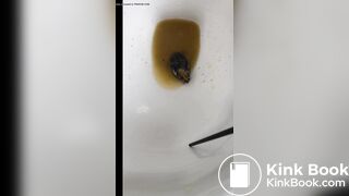 Insects swimming in the toilet