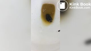 Insects swimming in the toilet