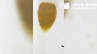 Insects swimming in the toilet