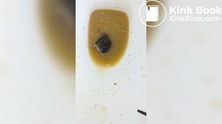 Insects swimming in the toilet