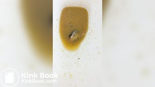 Insects swimming in the toilet