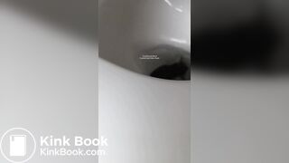 Insects swimming in the toilet