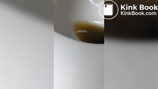 Insects swimming in the toilet