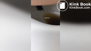 Insects swimming in the toilet