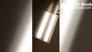 Poops - video 16