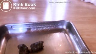 I shit in a metal tray