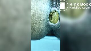 POO_CLOSE_UP